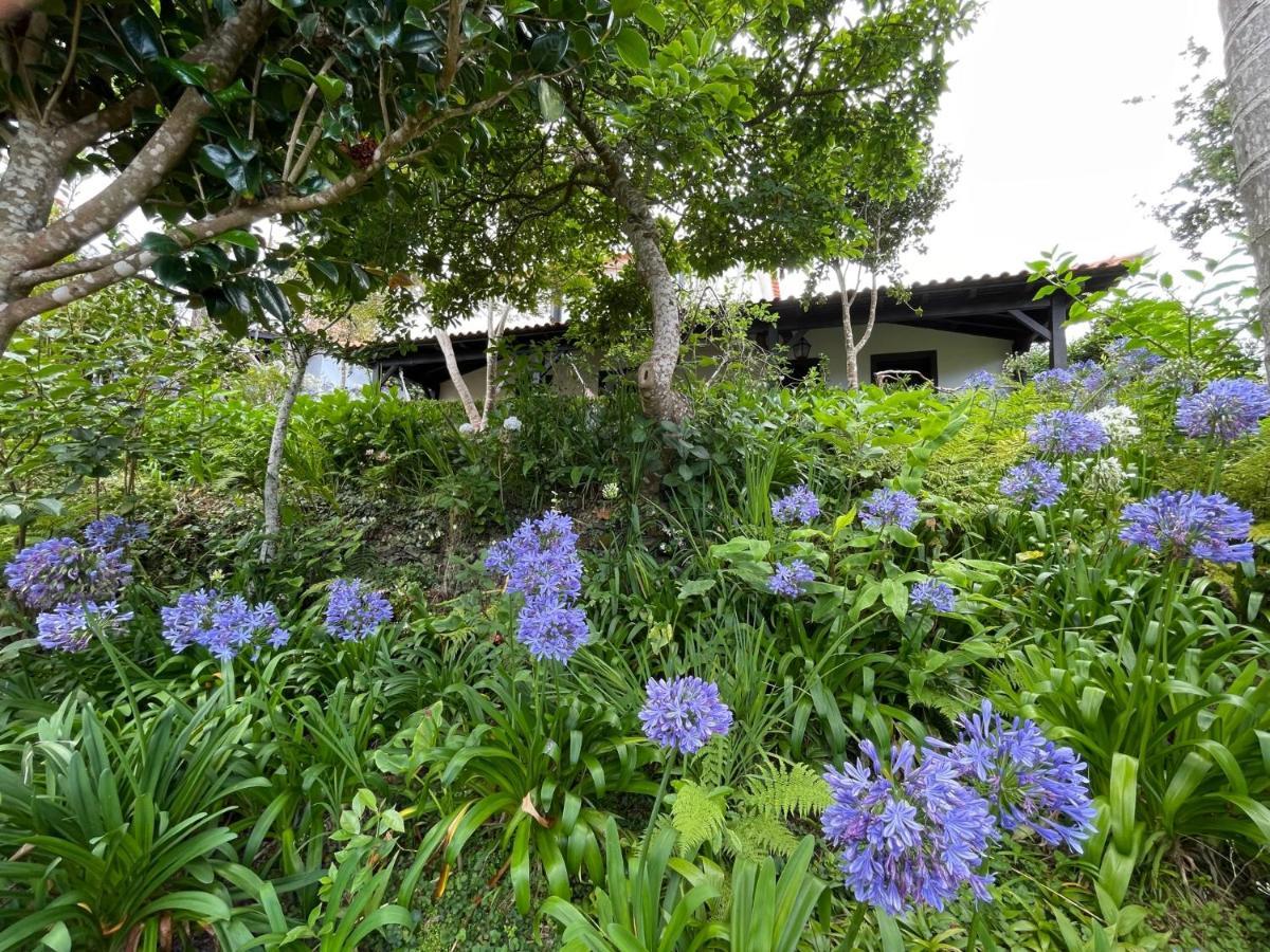 Casas De Campo Do Pomar B&B - Self Check-In サンタナ エクステリア 写真