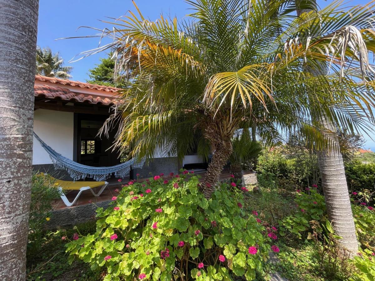 Casas De Campo Do Pomar B&B - Self Check-In サンタナ エクステリア 写真