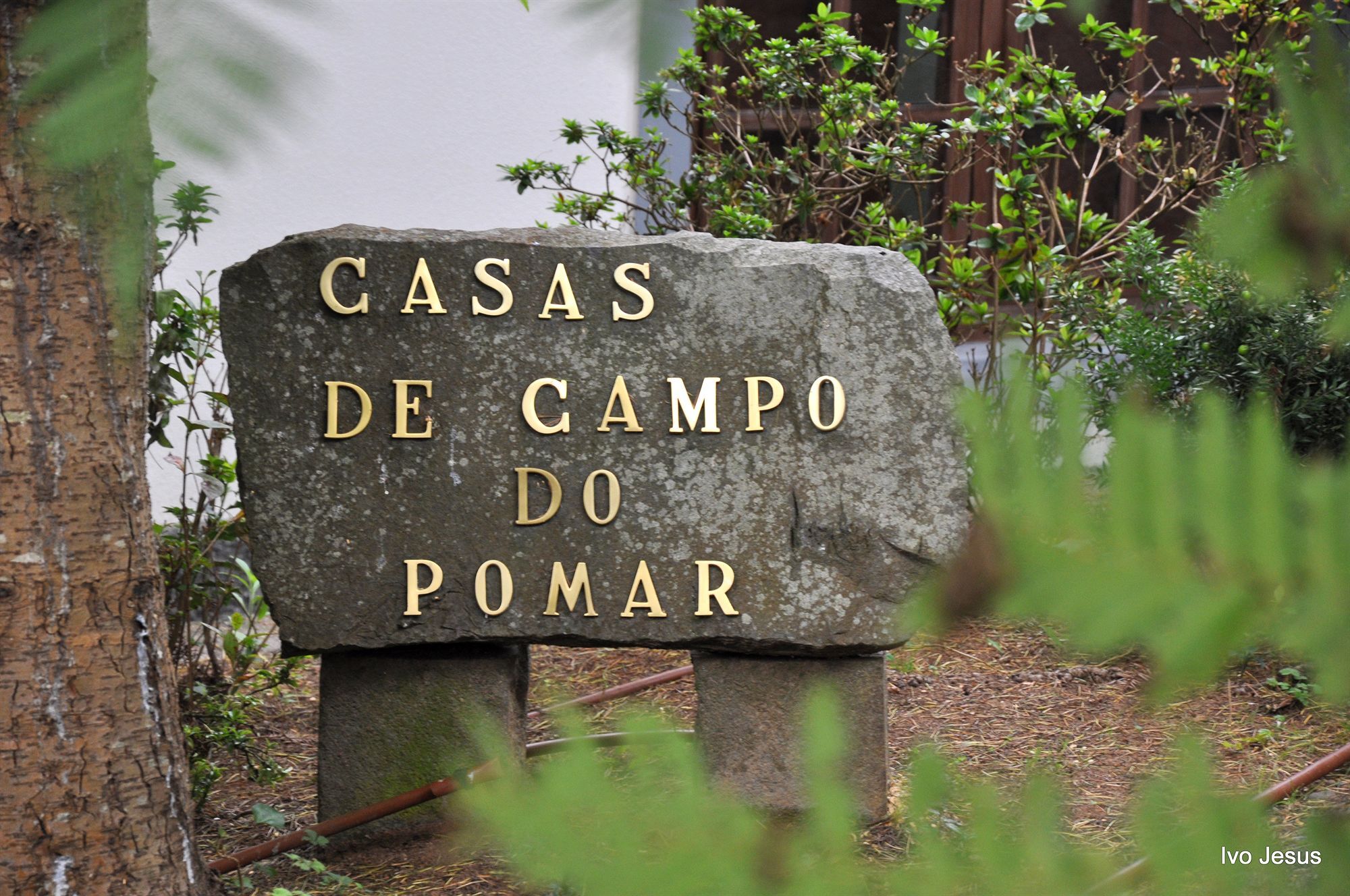 Casas De Campo Do Pomar B&B - Self Check-In サンタナ エクステリア 写真